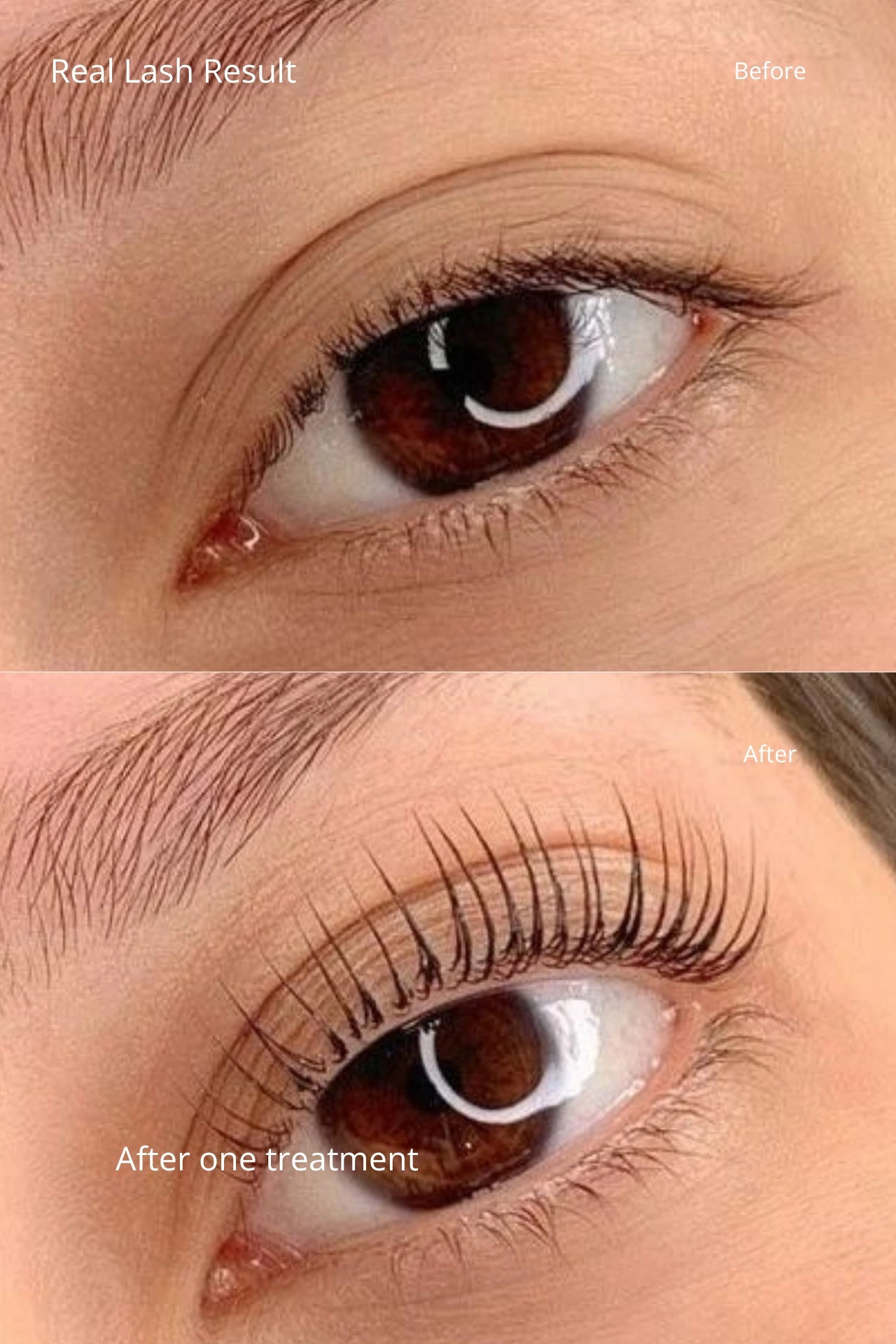 The Lash & Brow Lift Tint Kit