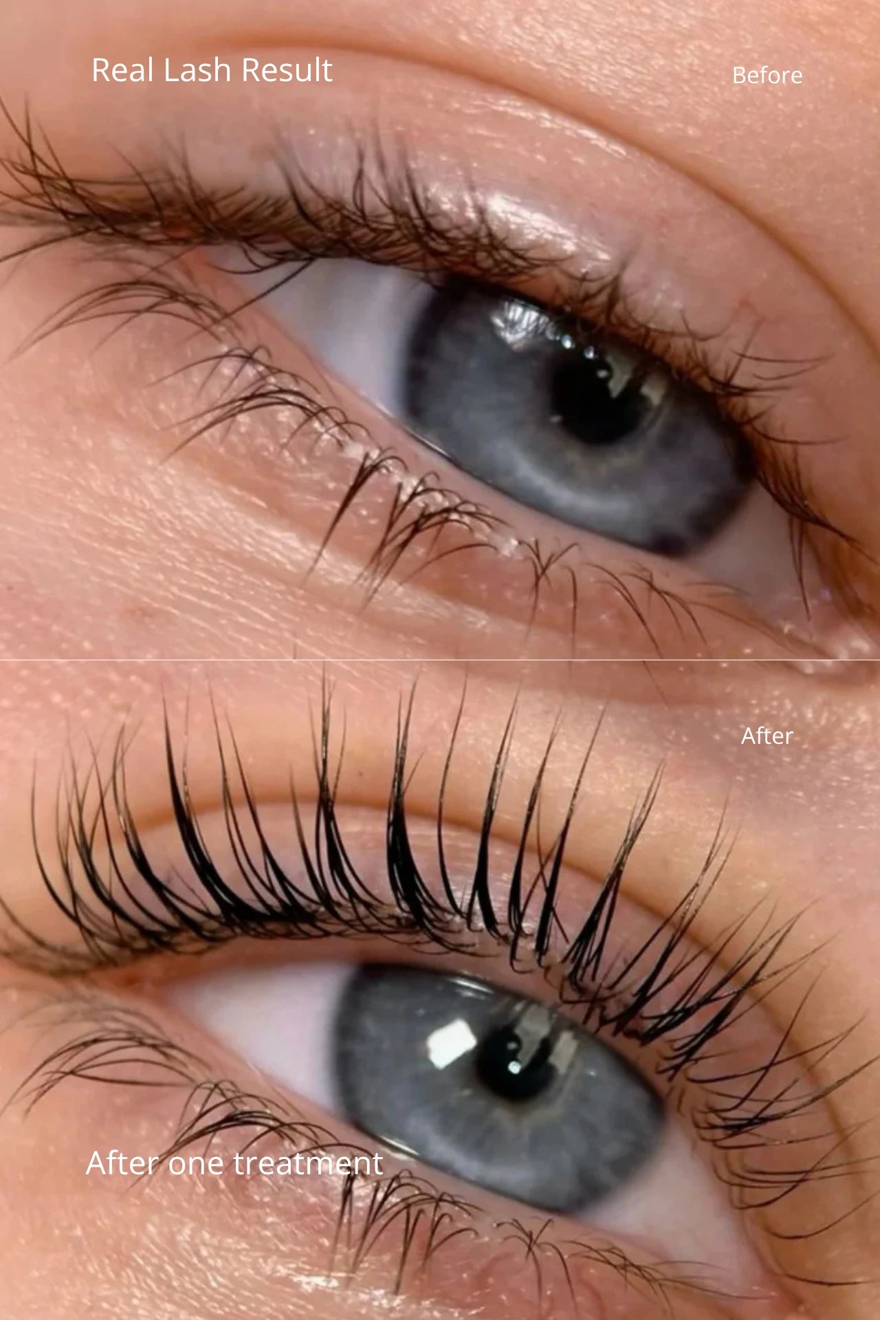 The Lash & Brow Lift Tint Kit